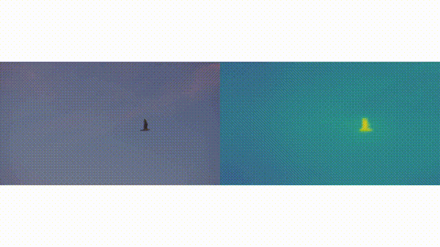 1766022528361152.gif 片段3.gif